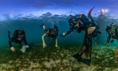 ONU Día Mundial de los Océanos/Rosie Leaney Como parte de la competición del Día Mundial de los Océanos, los fotógrafos marinos han estado llamando la atención sobre los peligros de la contaminación por plástico en los mares del mundo.