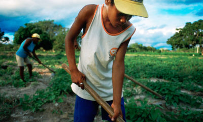 Banco Mundial/Scott Wallace Un joven trabajando en una zona rural del noreste de Brasil.