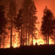 Los bomberos de California y otras partes de la costa oeste de los Estados Unidos luchan por contener los incendios forestales.